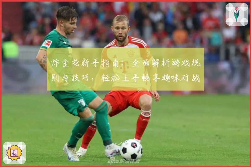 炸金花新手指南:全面解析游戏规则与技巧,轻松上手畅享趣味对战体验