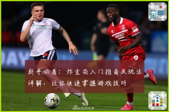 新手必看：炸金花入门指南及玩法详解，让你快速掌握游戏技巧
