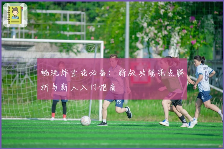 畅玩炸金花必备：新版功能亮点解析与新人入门指南