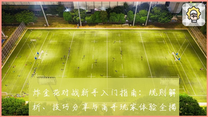 炸金花对战新手入门指南：规则解析、技巧分享与高手玩家体验全揭秘