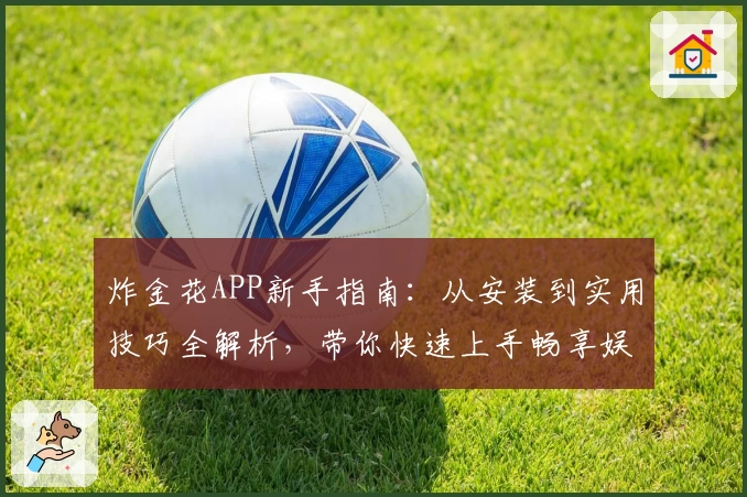 炸金花APP新手指南:从安装到实用技巧全解析,带你快速上手畅享娱乐体验