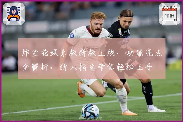 炸金花娱乐版新版上线，功能亮点全解析，新人指南带你轻松上手