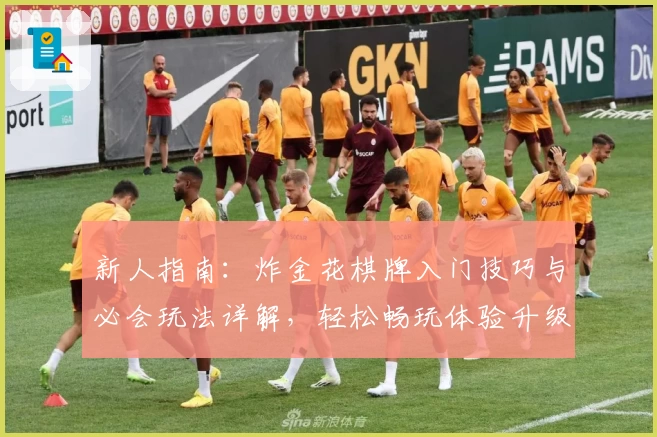 新人指南：炸金花棋牌入门技巧与必会玩法详解，轻松畅玩体验升级