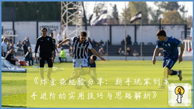 《炸金花经验分享：新手玩家到高手进阶的实用技巧与思路解析》