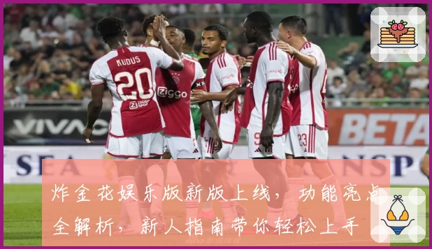 炸金花娱乐版新版上线，功能亮点全解析，新人指南带你轻松上手