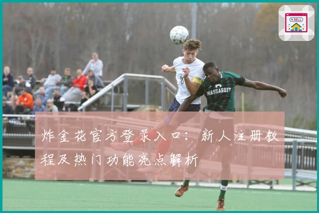 炸金花官方登录入口：新人注册教程及热门功能亮点解析